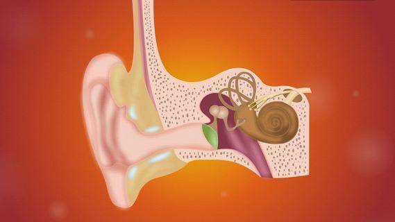 鼓膜穿孔，需要配助聽器嗎？